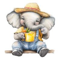 Elephant enjoying a tropical drink while dressed casually in a straw hat and colorful outfit, Elephant in Casual Outfit with Tropical Drink On white background png