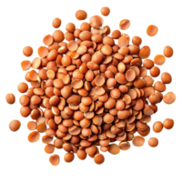 Brown lentils are presented on a white background, highlighting their smooth, round shape and earthy tones, Brown Lentils isolated on white background png