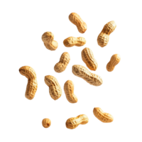 Falling peanuts in mid air against a white background capturing a dynamic food moment, Falling peanuts isolated on white background png