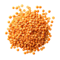 Clusters of lentils isolated on Transparent background showcasing vibrant orange color and unique texture, Lentils isolated on background png