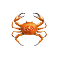 Freshly cooked crab displayed on a white plate with claws raised and vibrant shell on a clean background, crab in plateisolated on Transparent background png