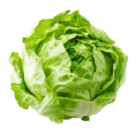 Fresh green iceberg lettuce with crisp leaves on a bright white background for healthy recipes, Green Iceberg lettuce on white background png
