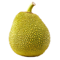 Young jackfruit displayed on a Transparent background highlighting its unique texture and shape, young jackfruit isolated on background png