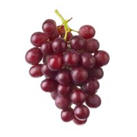 Fresh red grape cluster isolated on Transparent background with water droplets enhancing its vibrant color, Red Grape Cluster isolated on background png