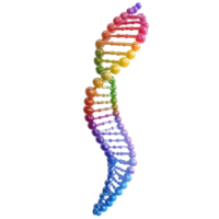 Colorful DNA double helix structure representing genetic information with a clean Transparent background, DNA with biological concept background png