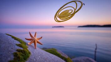 Starfish with Rope on a Mossy Rock at Sunset Ocean View photo