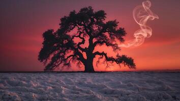 Solitary Tree Silhouette Against Dramatic Sky at Sunset with Smoke photo