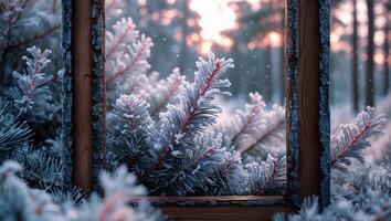 Icy Pine Branches Framed in Wooden Window in Winter Forest photo