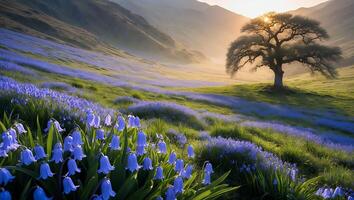 Bluebell Meadow with Solitary Tree at Sunrise in Mountainous Landscape photo