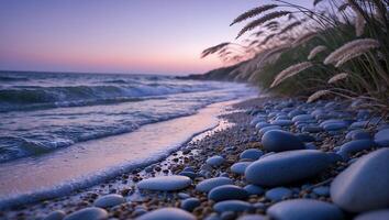 Calm Ocean Waves Lapping Rocky Shoreline at Dusk with Coastal Grasses photo