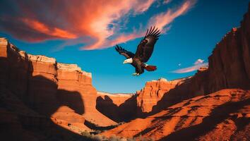 Eagle Flying Above Desert Canyon with Dramatic Sky and Rock Formations photo