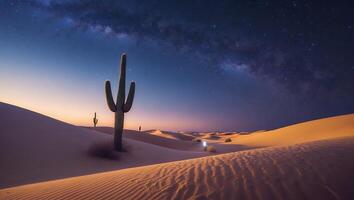 Cactus Stands Tall Under the Milky Way in Desert Landscape photo