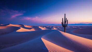 Cactus Standing in Desert Sand Dunes During Colorful Sunset Landscape photo