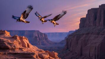 Eagles Soaring Across Scenic Canyon Landscape at Dusk Offering Freedom Vibes photo
