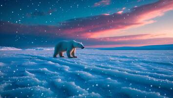Polar Bear Walking on Snowy Arctic Landscape with Colorful Sky photo