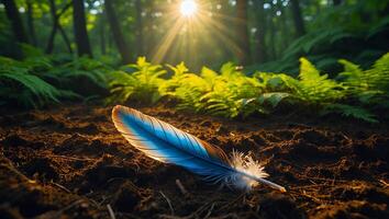 Blue Feather Lying on Soil with Sunlight Filtering Through Forest photo