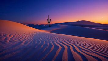 Desert Landscape with Cactus and Sand Dunes at Dusk or Dawn photo
