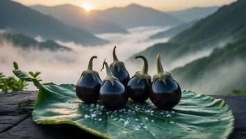 Eggplant Still Life with Mountain View at Sunrise for Cooking Inspiration photo