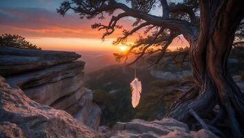 Feather Hanging From Tree at Scenic Mountain Sunset Vista photo