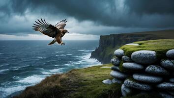 Hawk Flying Above Ocean Cliff photo