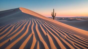 Desert Sand Dune and Cactus Under a Colorful Sky photo