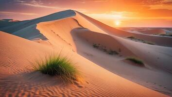 Sand Dune at Sunset photo