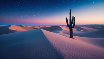 Cactus in Desert with Starry Night Sky photo