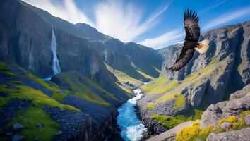 An eagle flying over a waterfall in a mountain valley photo