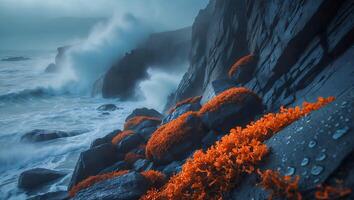Ocean Waves Crashing on Rocky Shore with Orange Vegetation photo