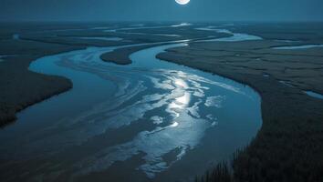 Winding River Through Marshes Under Moonlight photo
