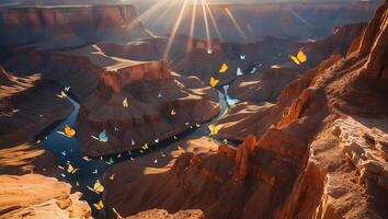 Grand Canyon with Butterflies and Sunlight photo