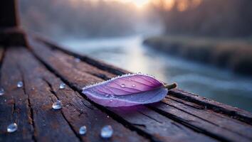 hoja en de madera puente con agua gotas a amanecer foto