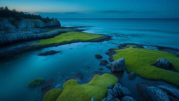 Rocky Maine Coastline with Green Grass at Twilight photo