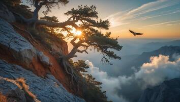 Tree on Cliff at Sunrise with Flying Eagle in Mountain Landscape photo