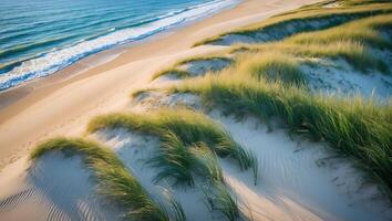 Coastal Dune with Grass and Ocean View photo