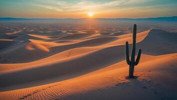 Cactus Standing Tall in Desert Sand Dunes at Scenic Sunrise photo