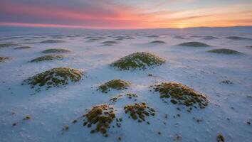 Snowy Landscape with Mounds at Sunset and Colorful Sky Reflection photo