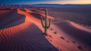 Cactus Standing Tall in Desert Sand Dunes at Dusk with Stars photo