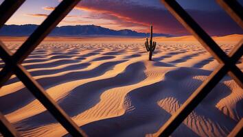 Desert Cactus Through Window with Sand Dunes and Colorful Sunset photo