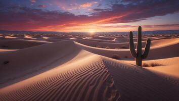 Sunset Glow Over Desert Sand Dunes with Cactus Silhouette Landscape photo