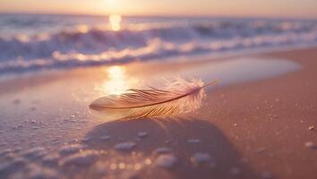 Feather Resting on Sandy Beach with Soft Waves at Sunset photo