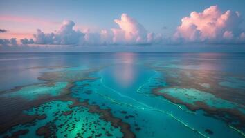 Aerial View of Turquoise Ocean and Coral Reef Under a Cloudy Sky photo