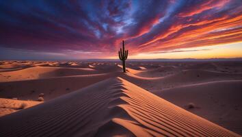 Cactus Silhouette Standing Tall in Desert Landscape at Colorful Sunset photo