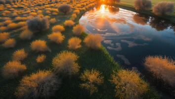 Waterway Surrounded by Grassland Reflecting Sunset, Creating a Tranquil Scene photo
