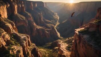 Soaring Bird Over Grand Canyon at Sunrise with Dramatic Light photo