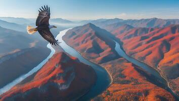 Eagle Soaring Over Winding River and Autumn Colored Mountain Landscape photo