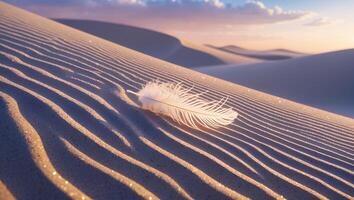 Feather Resting on Desert Sand Dunes at Sunset with Wavy Patterns photo