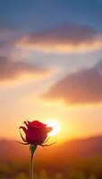Single Red Rose Blooming Against Sunset Sky In Open Field photo