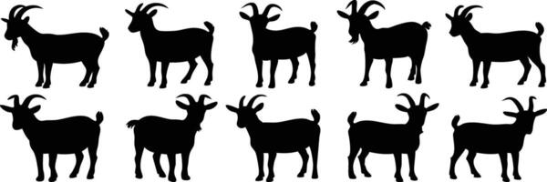 Collection of 10 Black Silhouettes of Goats in Various Poses, Featuring Sitting, Standing, and Walking vector