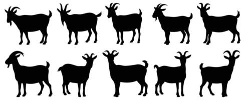 Black Silhouettes of Goats in Various Poses, Including Standing, Walking, and Profile Views vector
